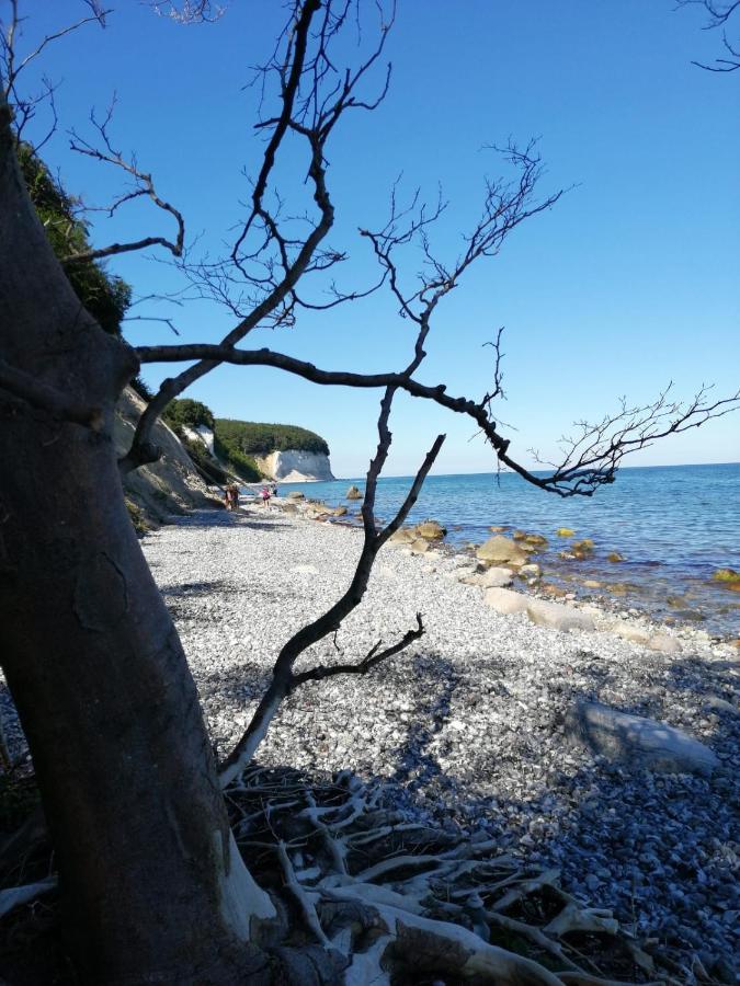 Ferienwohnung "Kranich" Im Ferien-Resort Ruegen Sagard Esterno foto